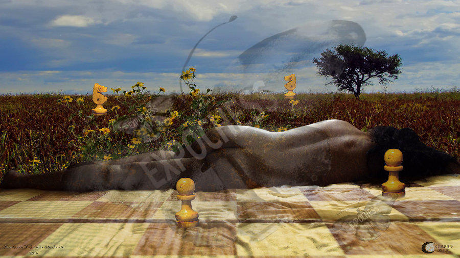 Mujer Dormida